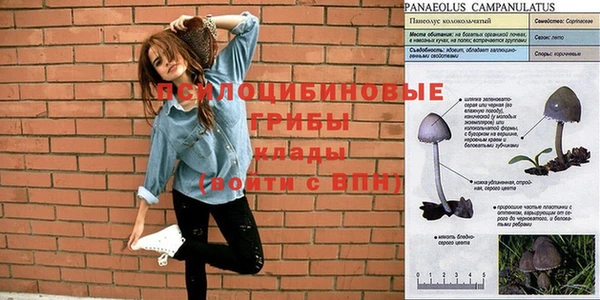 бошки Верея