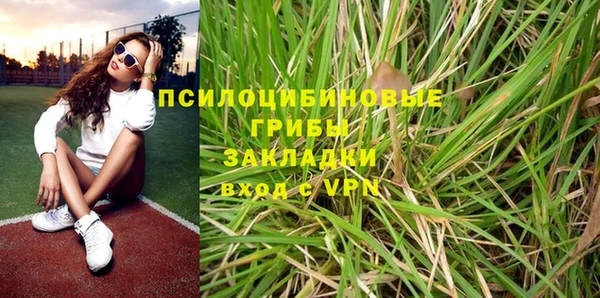бошки Верея