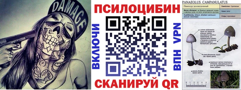 Галлюциногенные грибы GOLDEN TEACHER  нарко площадка наркотические препараты  Верхотурье  сколько стоит 